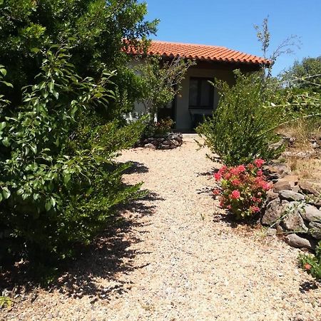 Agriturismo Su Birde Orosei Eksteriør bilde